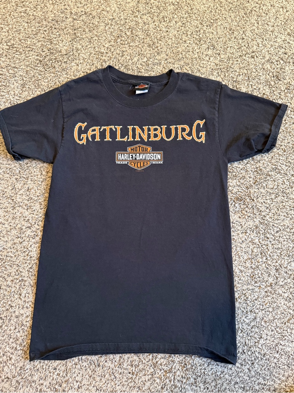 Harley-Davidson Black Gatlinburg Graphic T-Shirt